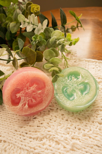 Olive oil-Loofah infused-Hibiscus palm
